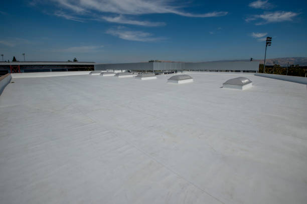 Best Green or Eco-Friendly Roofing Solutions  in Munster, IN