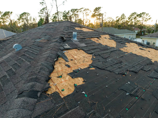 Best Cold Roofs  in Munster, IN